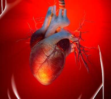 Marla Ahlgrimm Discusses Risk Factors of Heart Disease