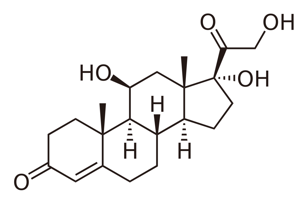 Marla Ahlgrimm Discusses the Importance of Cortisol