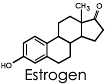 Marla Ahlgrimm: New Research Suggests Estrogen May Protect Against PTSD