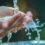 Why Hydration Matters During Menopause